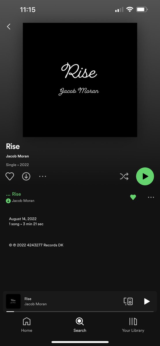 MY COVER OF RISE IS OUT!!! I know for sure that it’s out on Apple Music, Spotify and Amazon Music! It might take a few more days for all of the other streaming services that I’m not familiar with, but it’s HEREEE! Go like it, stream it, save it, buy it, share it! Love u 🤍