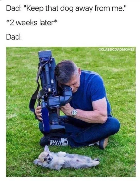 WholesomeMemes (@wholesomememe) on Twitter photo 