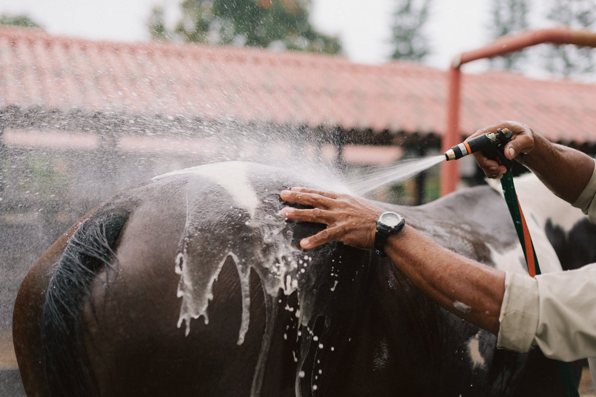 Son los pequeños placeres…