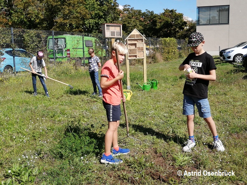 MLUKBrandenburg's tweet photo. Wir expandieren 😉: das #MLUK unterhält ein zweites Insektenhotel! Schüler*innen der Naturpark Schule Prieros aus dem NP Dahme-Heideseen weihten es ein, brachten die Saat für Wildblumen aus und besuchten auch die schon ansässigen Umweltbienen 🐝 auf dem Ministeriumsdach. https://t.co/aLfBtF1YZK