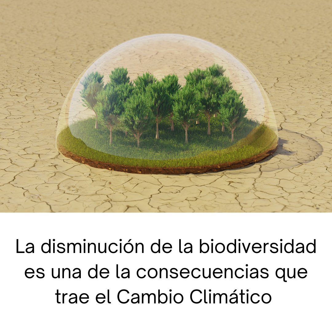 endadominicana's tweet photo. La disminución de la biodiversidad es una de la consecuencias que trae el Cambio Climático
#cambioclimatico
#biodiverisdad
#proyectoCCR https://t.co/Iy4QPU0bDW