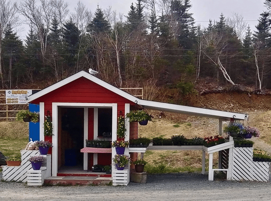 guide2good's tweet photo. If you’re heading out over the road for the long weekend, make a stop at Ripple Trail Farm Roadside Stand at #Whitbourne.
Learn more about Ripple Trail here - https://t.co/SYtTWOQ5gH
#LocalCarrots #LabourDayWeekend #RoadsideStand #RippleTrailFarm #VegetableFarm #Whitbourne https://t.co/p8ac1QWY0h