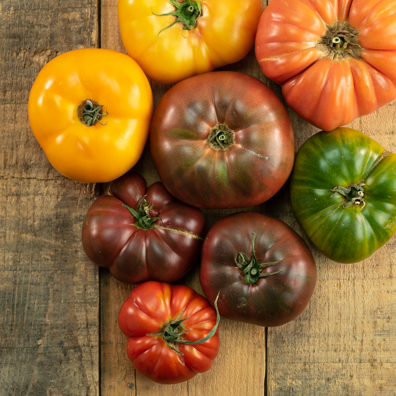 SpecialtyProd's tweet photo. The end of summer is peak season for California grown heirloom tomatoes #specialtyproduce #heirloomtomatoes