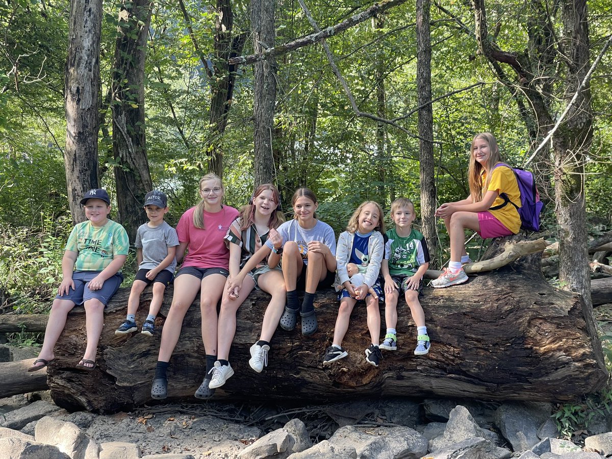 WvFue's tweet photo. Wild + Free Southern WV spent the morning hiking #sandstonefalls in #summerscounty ! One of the kiddos spotted a large turtle in the river! https://t.co/N8U4QA9jxq