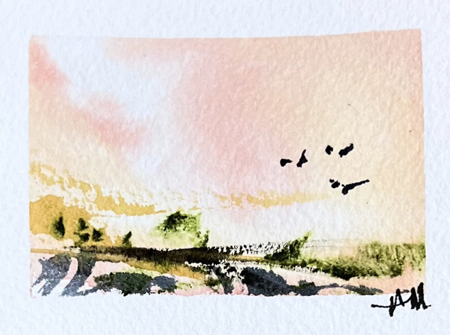 jasperprojectsc's tweet photo. Delighted to have these lovely, little landscapes from Amber Machado up on our Tiny Gallery throughout September.

Pieces range from $15 - $35 and can be viewed here: https://t.co/PrwK19BMAg https://t.co/25JSb873zZ