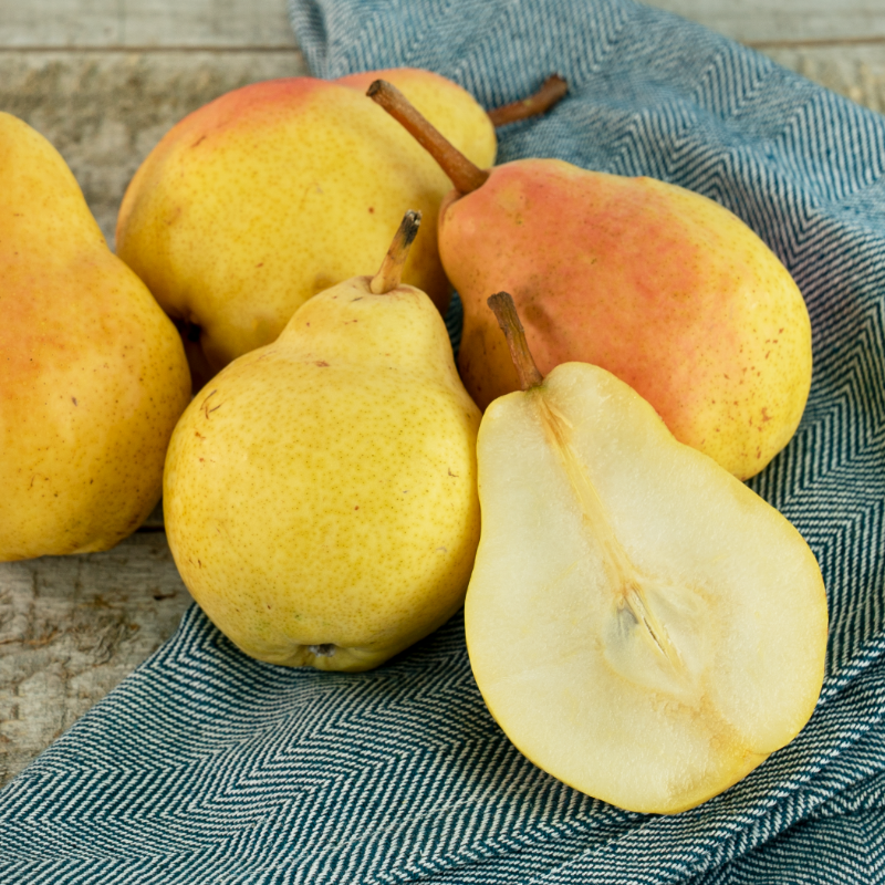 SpecialtyProd's tweet photo. Bartlett pears are sweet and crisp when green and develop rich, buttery, and honeyed flavors when left to ripen to yellow.