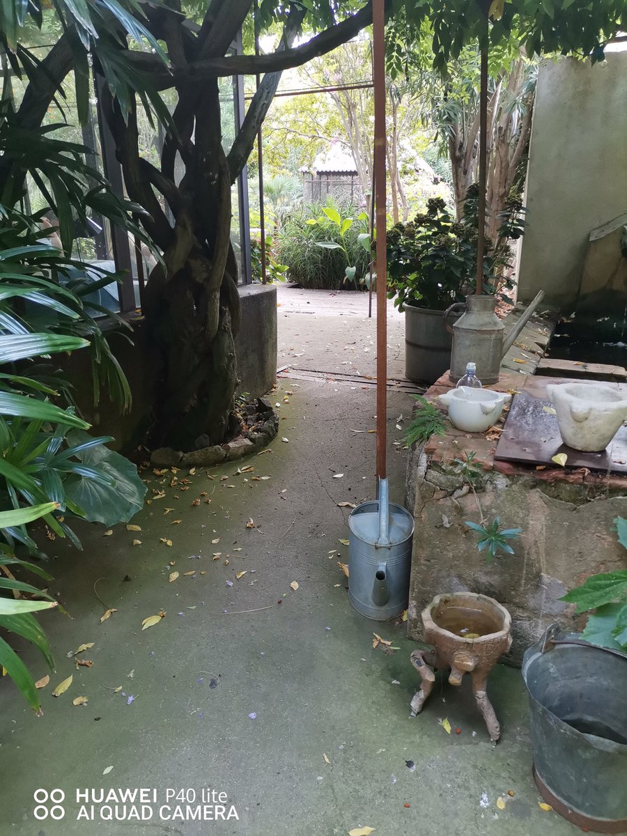 Mimiveemp's tweet photo. Exotic house https://t.co/T9MQyWPZS2