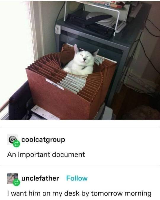 WholesomeMeme's tweet photo. https://t.co/RnRvBqw5gO