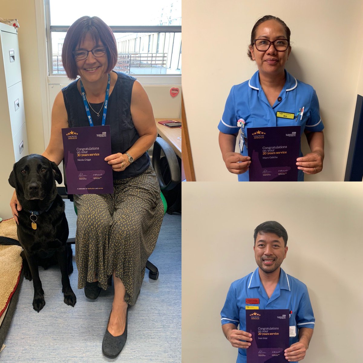 Daisy Moll tweet media