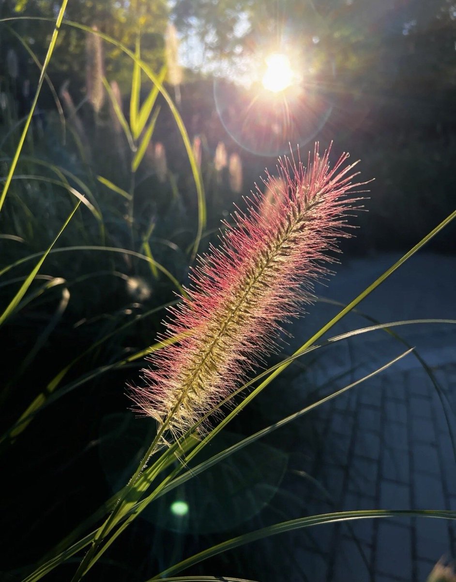 Mia0912S's tweet photo. The most valuable asset is not the money you have on your card, nor is it the soft things you treasure, but the attitude you develop day by day. If you approach life with a resilient enough attitude, you will have the strength not to be defeated! #SunnyDay
#bb24 https://t.co/thLmVSeC1d