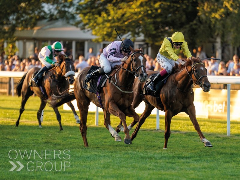 Dutch Decoy is back in action today, running live on <a href="/itvracing/">ITV Racing</a> in the 2:40 at <a href="/kemptonparkrace/">Kempton Park Racecourse</a>, for his owners, trainer <a href="/Johnston_Racing/">Johnston Racing</a> and jockey <a href="/olistammers/">Oli Stammers</a>. #OwnersGroup
