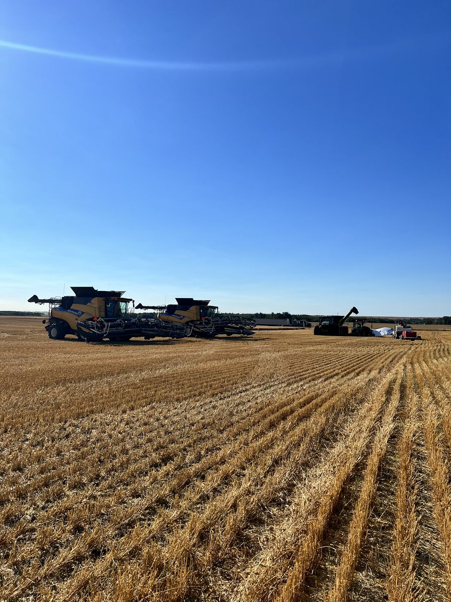 Chris Nielsen tweet media