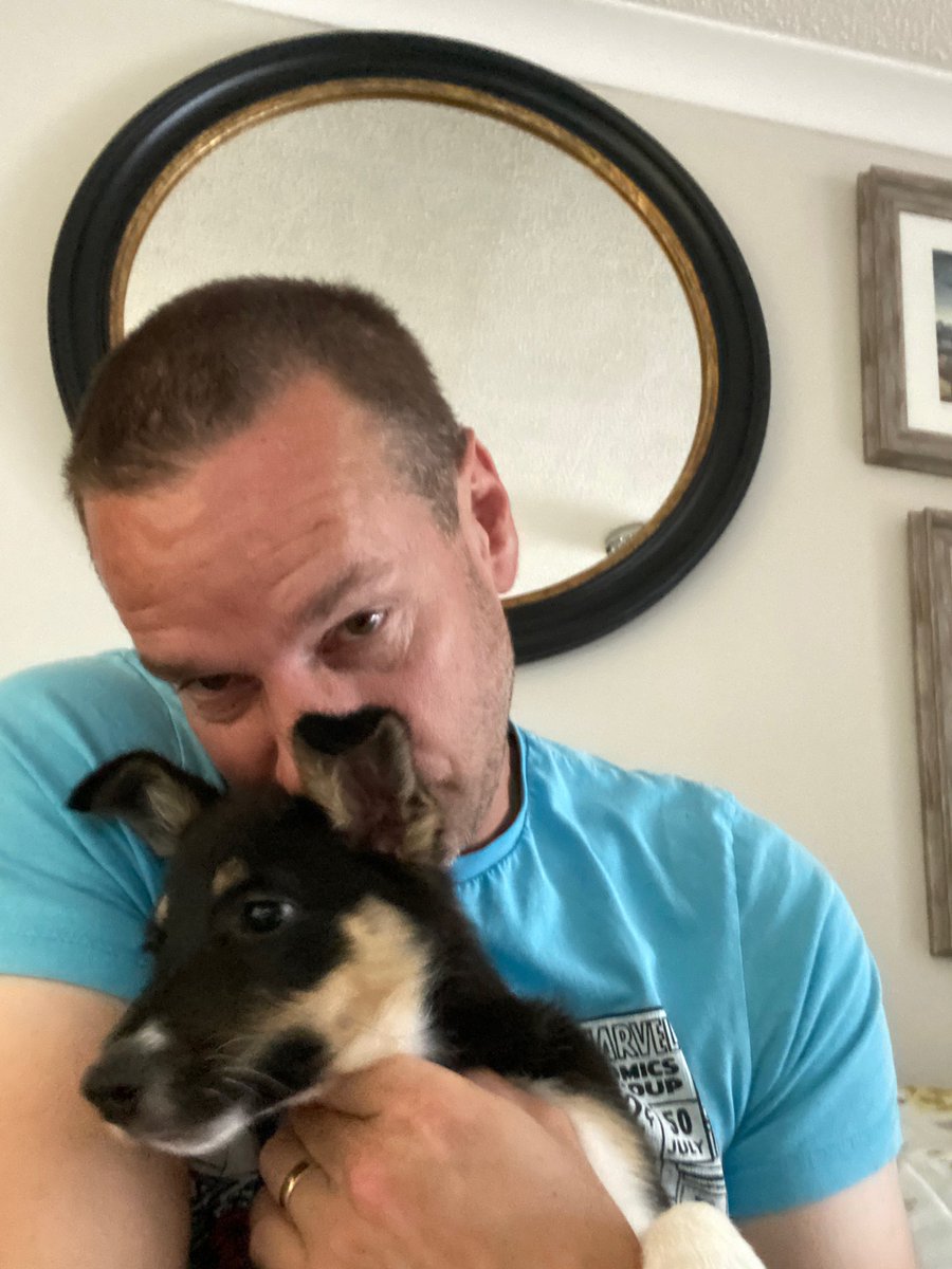 pets_4_sitters's tweet photo. Sherry Pie licking my hubby’s brains 🧠 out #puppies https://t.co/Ta8tptD4a8