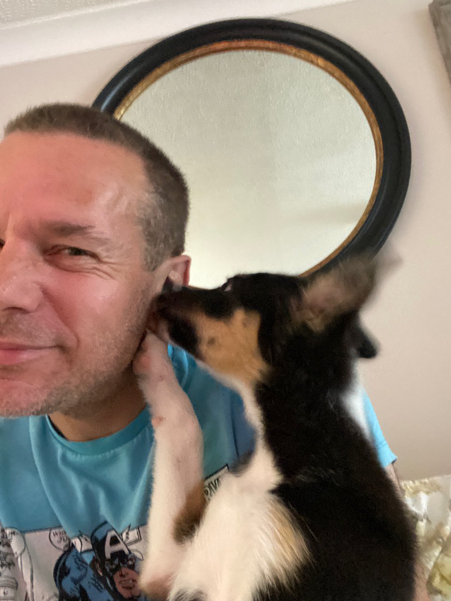 pets_4_sitters's tweet photo. Sherry Pie licking my hubby’s brains 🧠 out #puppies https://t.co/Ta8tptD4a8