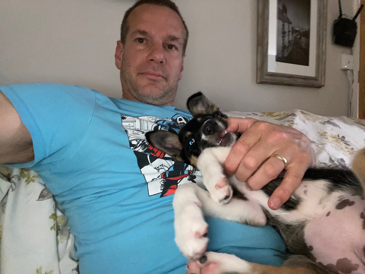 pets_4_sitters's tweet photo. Sherry Pie licking my hubby’s brains 🧠 out #puppies https://t.co/Ta8tptD4a8