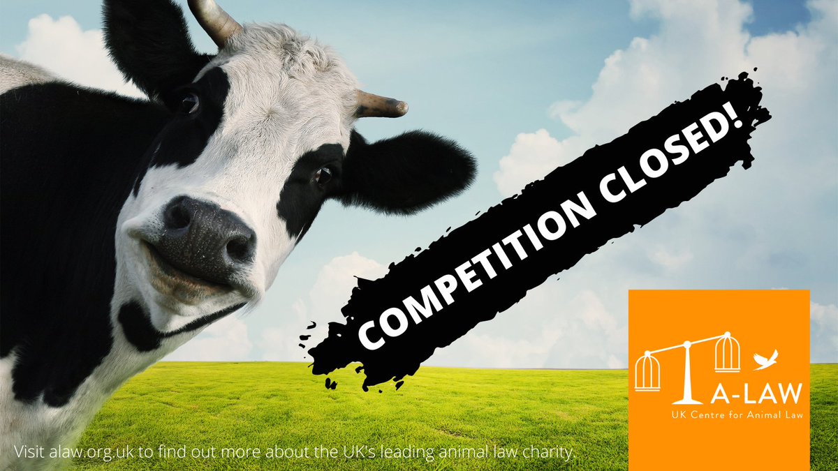 ALAWAnimalLaw's tweet photo. Our Student Essay Competition has now closed! Thank you to the students who have submitted an essay for our competition this year!

#students #animallaw #animalwelfare #writeforanimals #essaycompetition https://t.co/g9zb1eNQZX