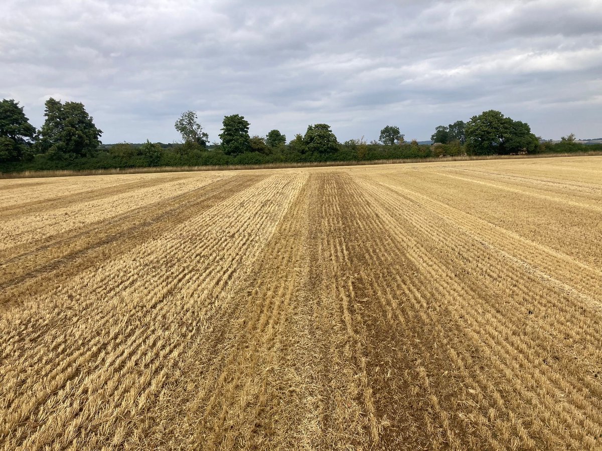 BourgaultVos's tweet photo. We were sent these photos today of a @HORSCHUK Sprinter using @TillageTools VOS from @BTTUK_Tillage   in the Cotswolds 👍
#lowdisturbance https://t.co/eZur39VKpk