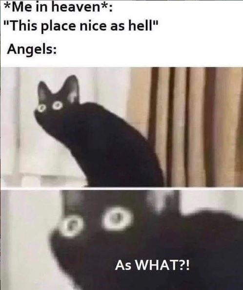 WholesomeMemes tweet media