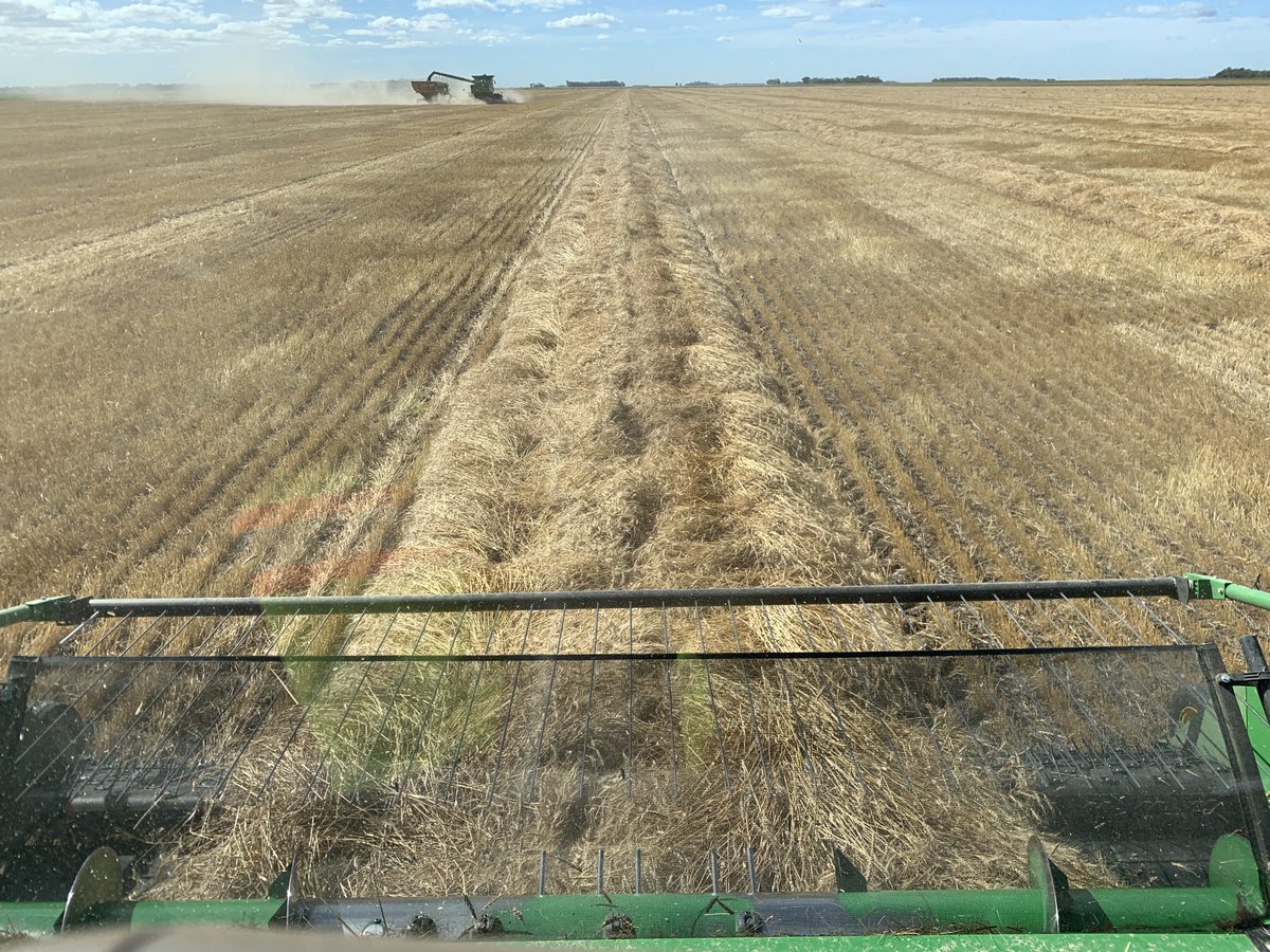 CKind77's tweet photo. Harvest 22 underway. https://t.co/SaOx1xCp5f