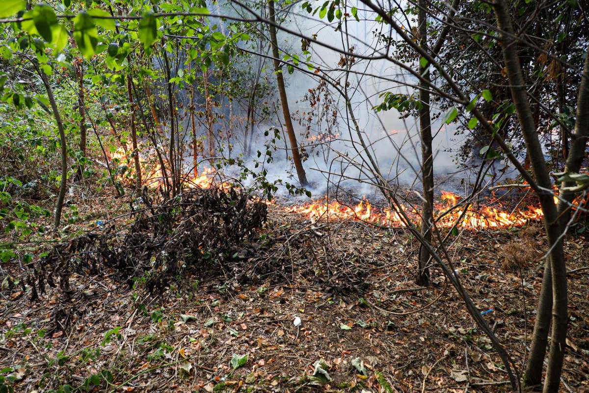 Bosbrand bij Bestevaer in Huizen, brandweer blust zo’n 40 á 50 meter aan bos dlvr.it/SXgS2N