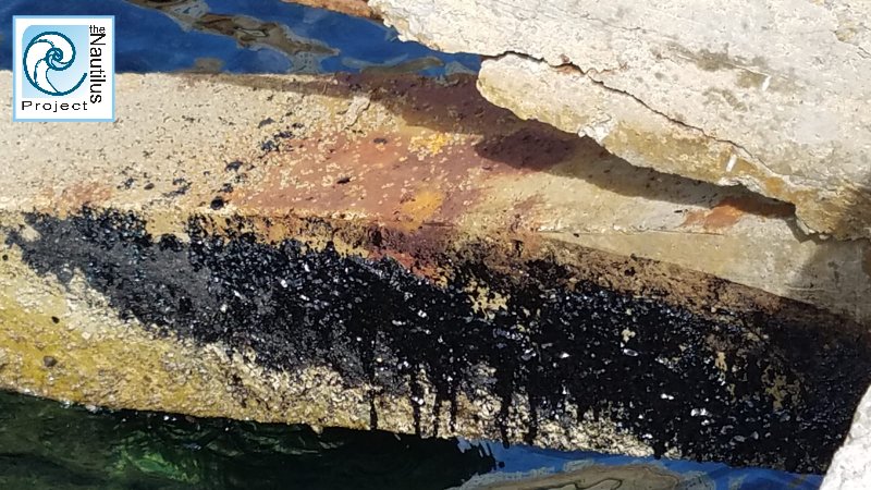 The Nautilus Project (@NautilusGib) on Twitter photo 2022-09-02 15:52:39 Latest pics taken by our team at #HistoricRosiaBay home to 2 species of endangered seahorses, endangered #patellaferruginea, orange star coral #astroidescalycularis & a wealth of marine wildlife including Clylde resident #GreaterCommorant that loves his swims in the basin
#oil Latest pics taken by our team at #HistoricRosiaBay home to 2 species of endangered seahorses, endangered #patellaferruginea, orange star coral #astroidescalycularis & a wealth of marine wildlife including Clylde resident #GreaterCommorant that loves his swims in the basin
#oil