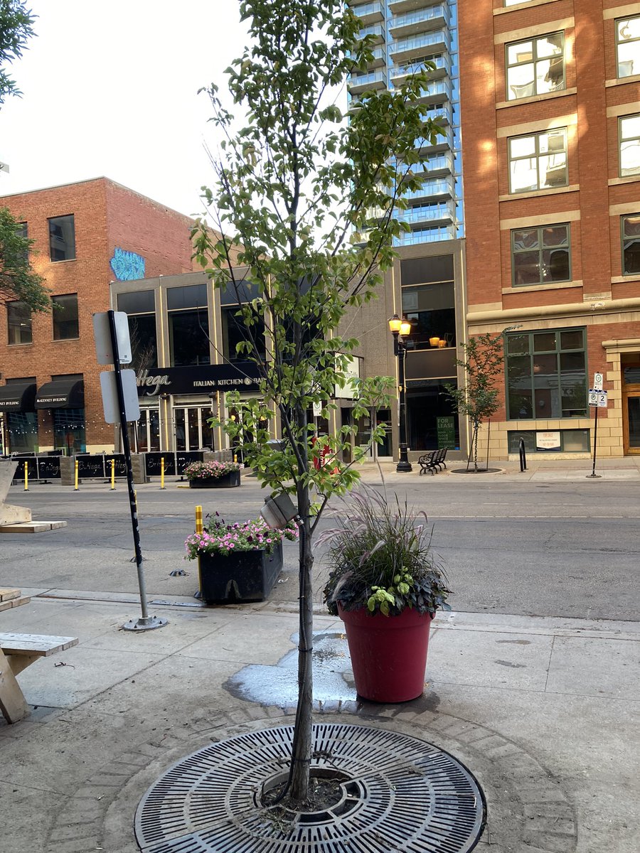 Stephen Yu tweet media