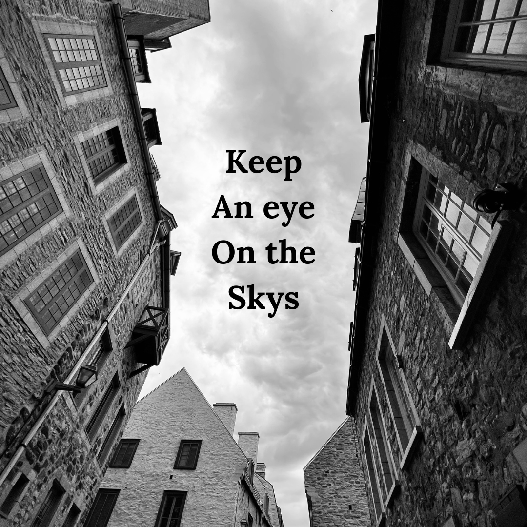 Few things come without warning, 
We just need to be tuned into 
The signals.

If we’re too busy, too focused on the future or the past, we miss the signals telling us where we are in the flow of things —what’s changing, what’s coming.

- ml
