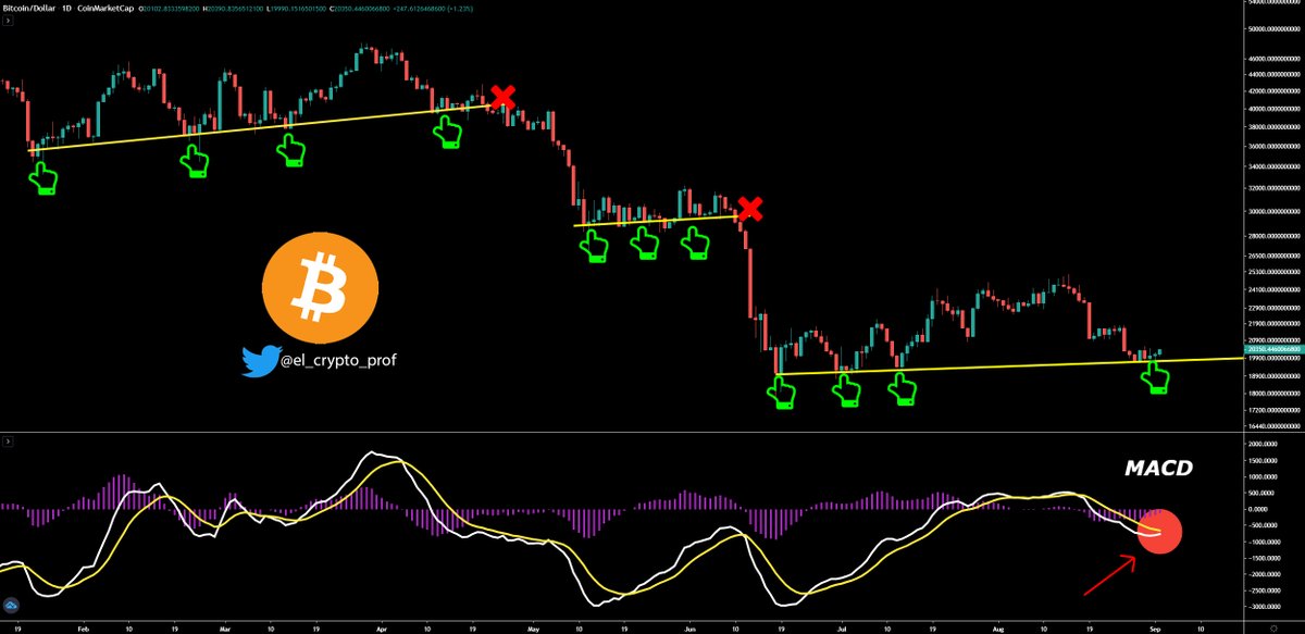el_crypto_prof's tweet photo. $BTC #BITCOIN - (D)

The trendline from June shows again how important it is.

- $BTC is also approaching a bullish cross (MACD). https://t.co/qHCjeDIN9m