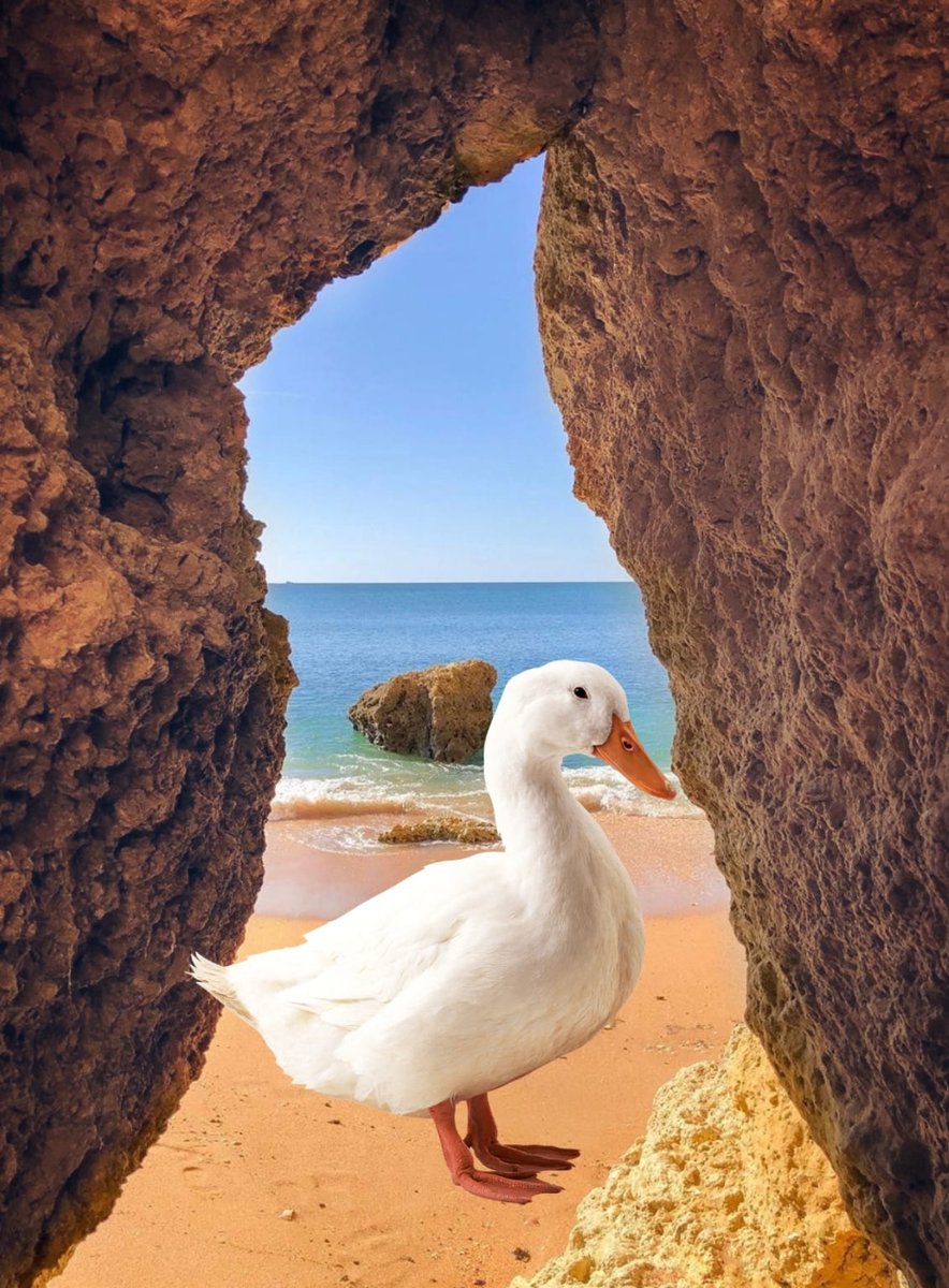 Albert14NFT's tweet photo. Duck from the screensaver of #Windows 

🦆🪟

#duckarmy #NFTs #NFTCommunity https://t.co/AuK30vuHrX