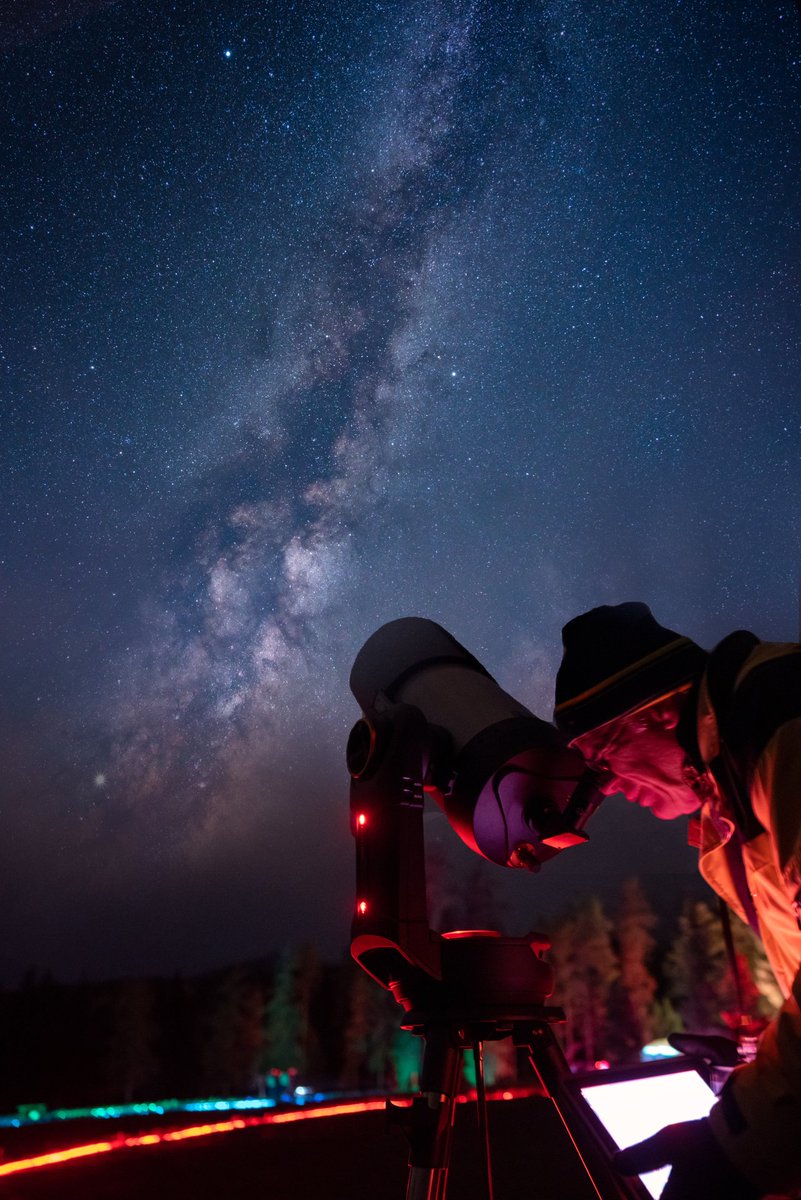 James Jackson tweet media