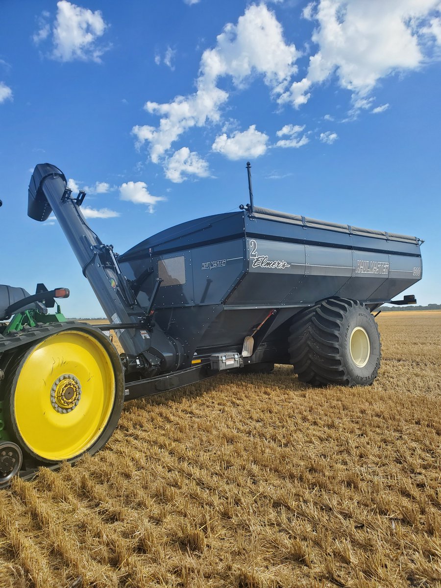 Elmer's MFG tweet media