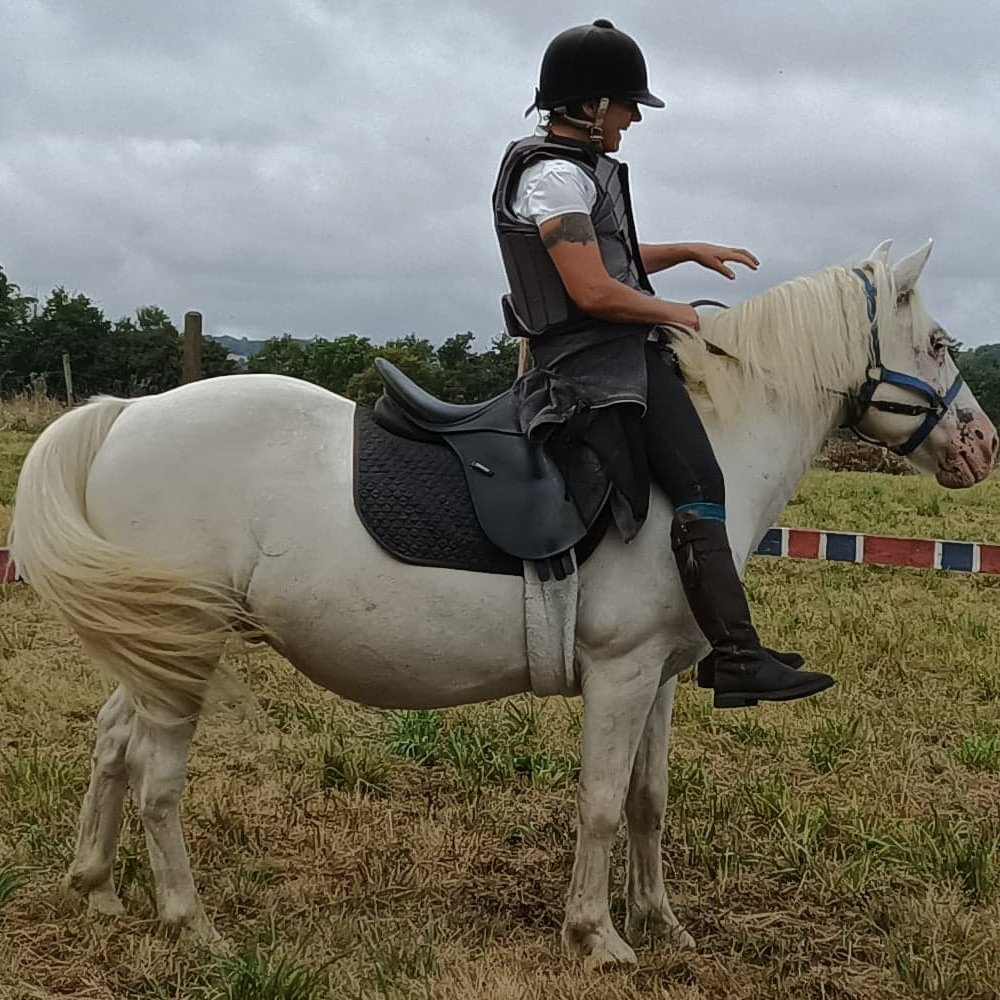 mareopausal's tweet image. mare-o-pausal.com now has a newsletter!!! You can actually subscribe and some ramblings will arrive in your inbox!  #horses, #writers, #horseywriters