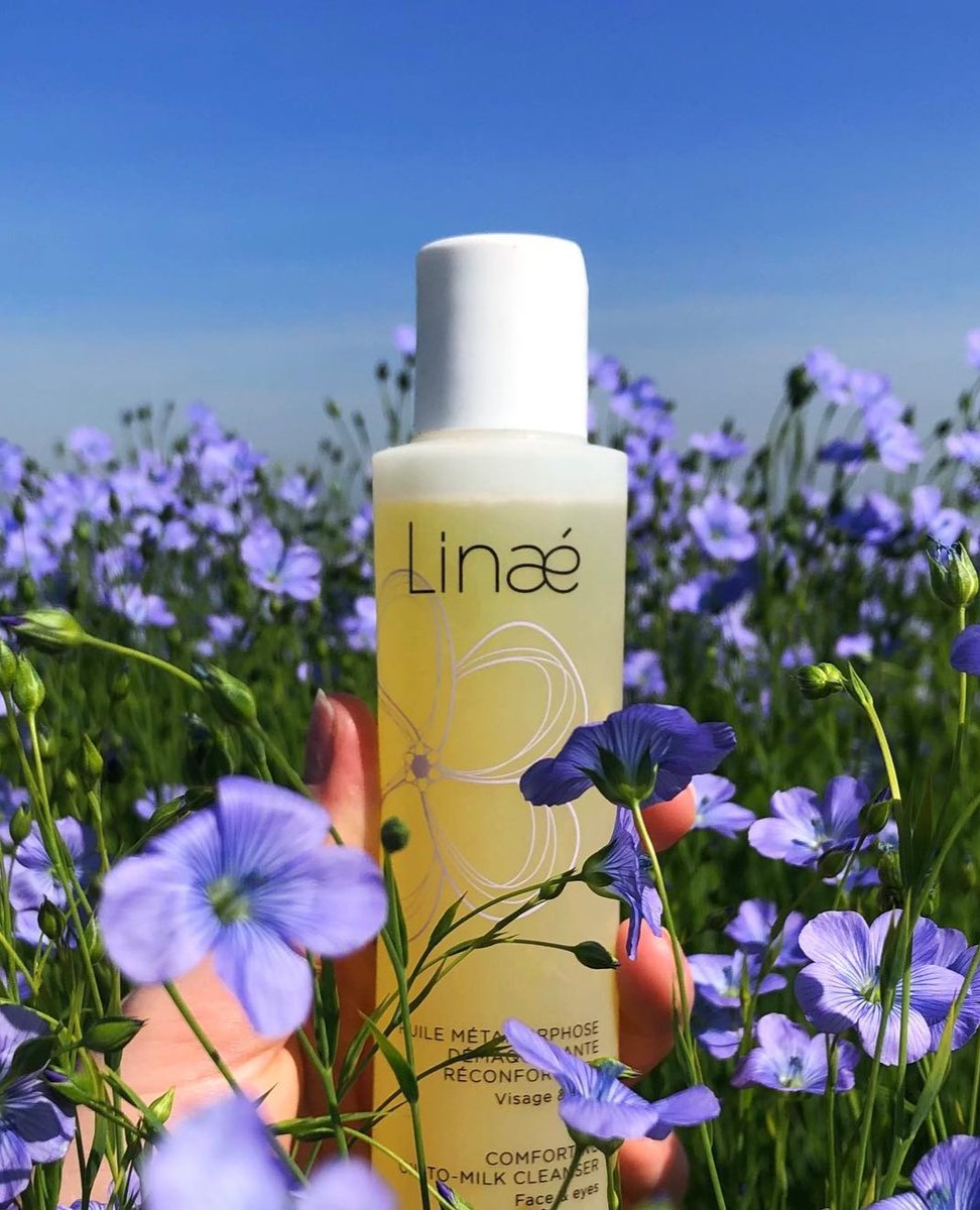 Alliance for European Flax-Linen & Hemp tweet media