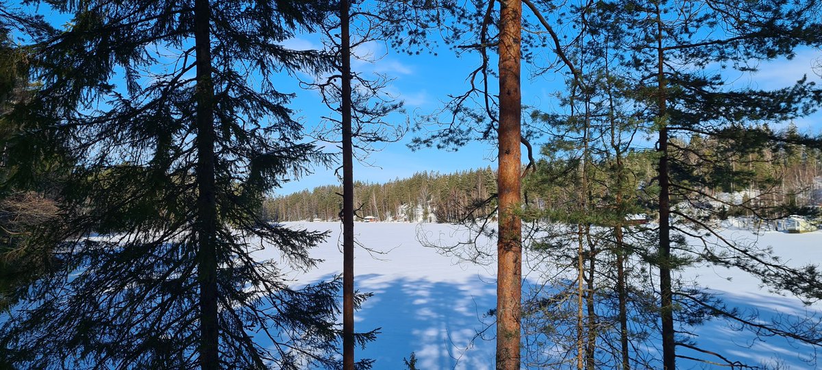 ScotlandDanders's tweet photo. Suomi on todella kaunis maa. Take me back to Finland, I think about moving more often than I should #Suomi #Outdoors #snow #FridayFeeling https://t.co/0PhISj3jxB