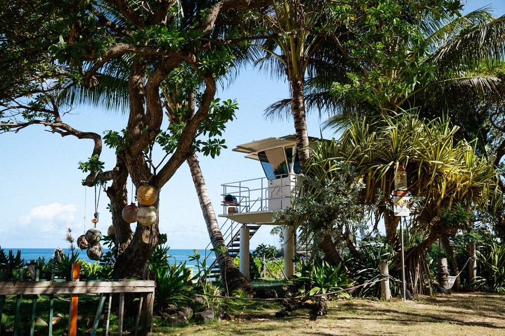 Turtle Bay Resort tweet media