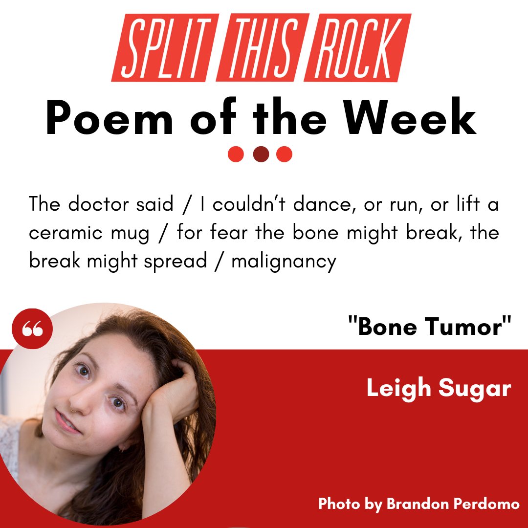 Content Notice: cancer

The doctor said / I couldn’t dance, or run, or lift a ceramic mug / for fear the bone might break, the break might spread / malignancy 

Poem of the Week is "Bone Tumor" by Leigh Sugar. #Poem as audio &amp; text: bit.ly/39TG2oR 
#PoemoftheWeek #poetry