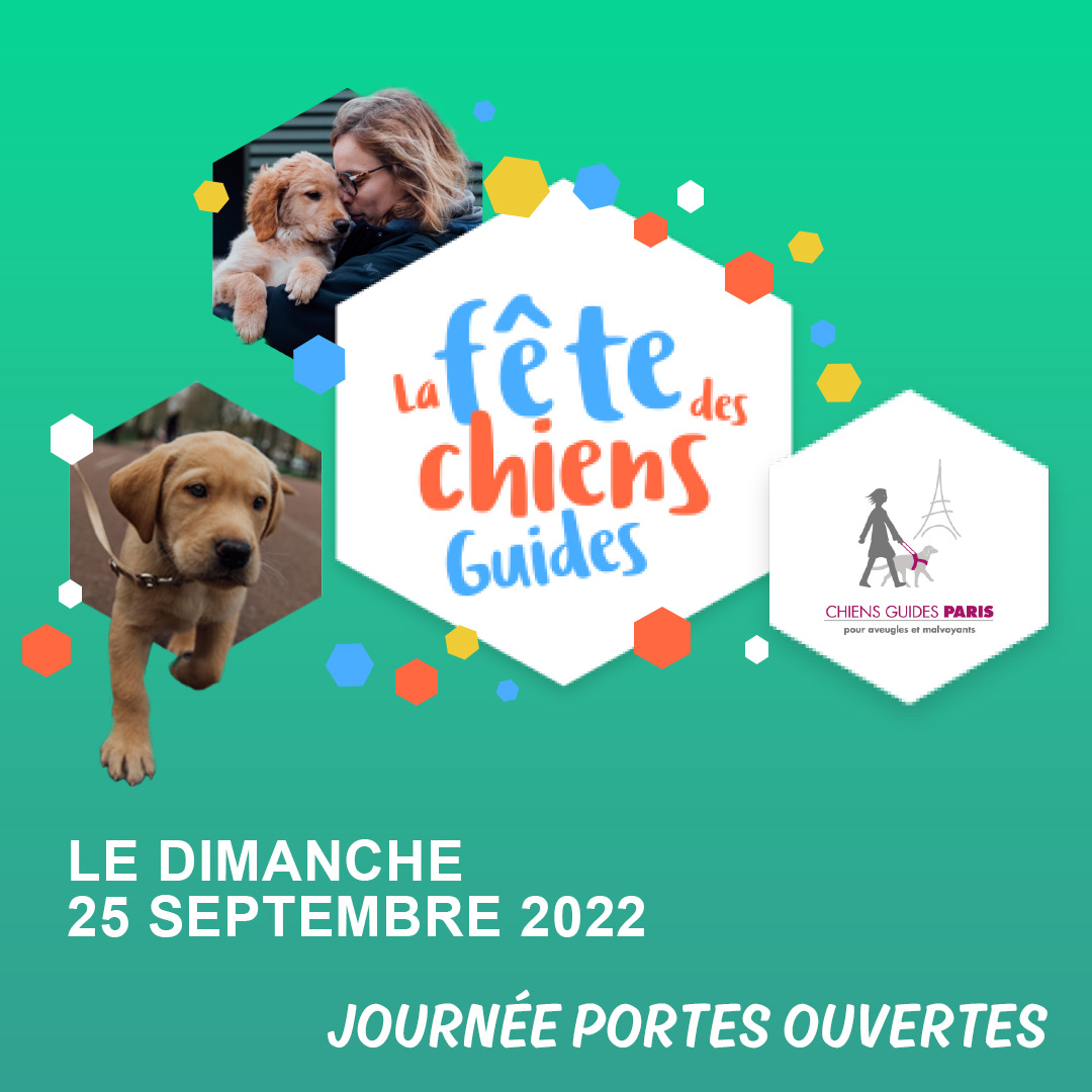 Chiens Guides Paris tweet media
