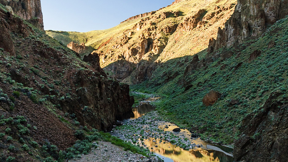 conservationall's tweet image. #FundedProjectFriday #granteespotlight: @TheTRCP 
Protecting Oregon’s Owyhee Canyonlands: To permanently protect one million acres of Wilderness and 25 miles of Wild and Scenic Rivers within Oregon’s Owyhee Canyonlands from future development.
📸: Jim Davis
#wekeepitwild