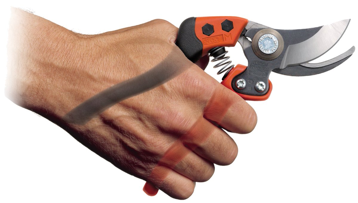 Bahco_NL's tweet photo. Helaas loopt de zomer weer ten einde en mogen we zo meteen weer gaan snoeien.
Kent u de Bahco ergonomische snoeischaar al? Deze past uitstekend in uw hand!

👉https://t.co/3Pay5iW0Tr

#Bahco #bahcotools #handgereedschap #followthefish https://t.co/h4flGHsasy