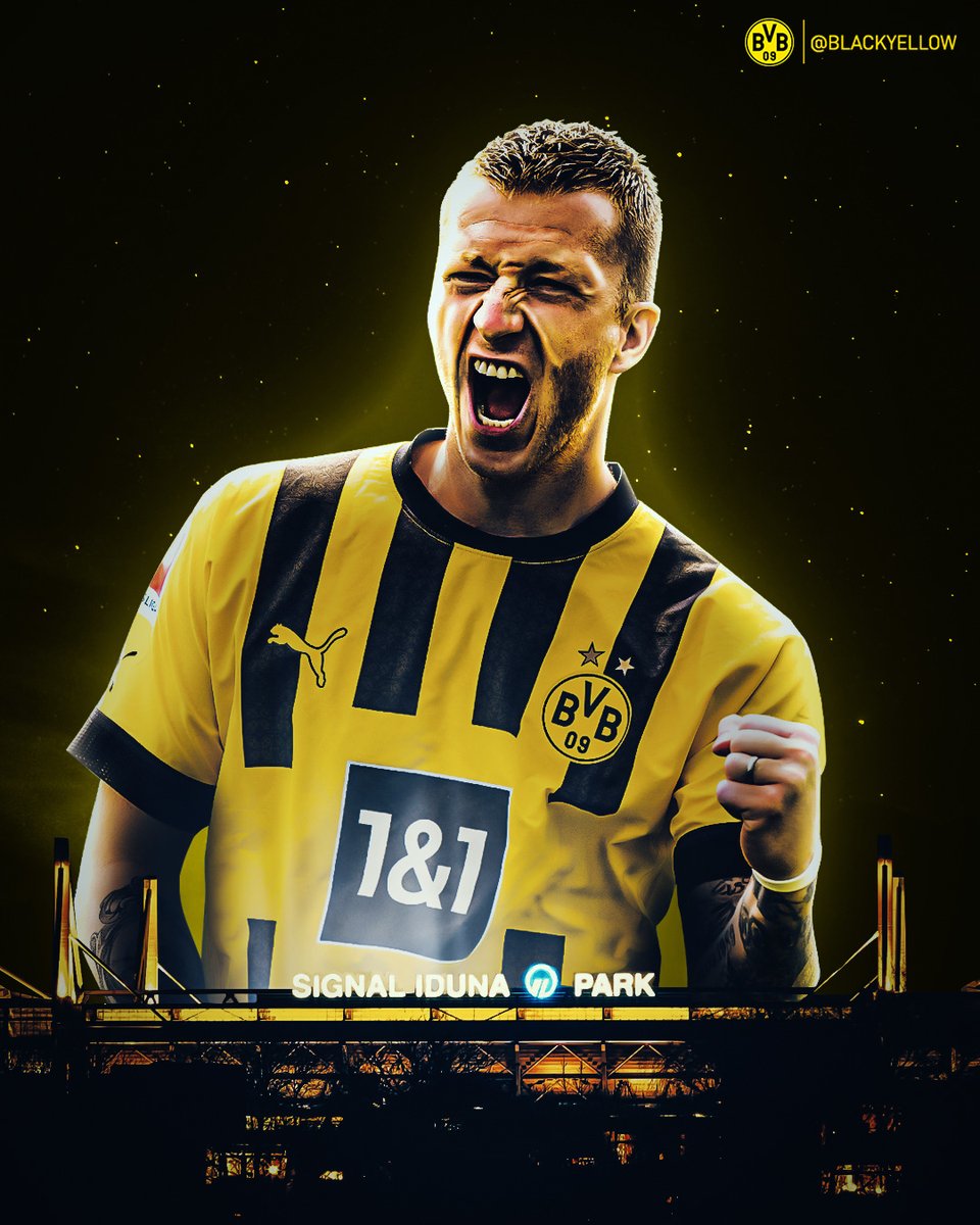 Borussia Dortmund tweet media
