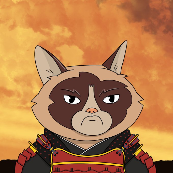 ProjectAmphibian | LFG tweet media