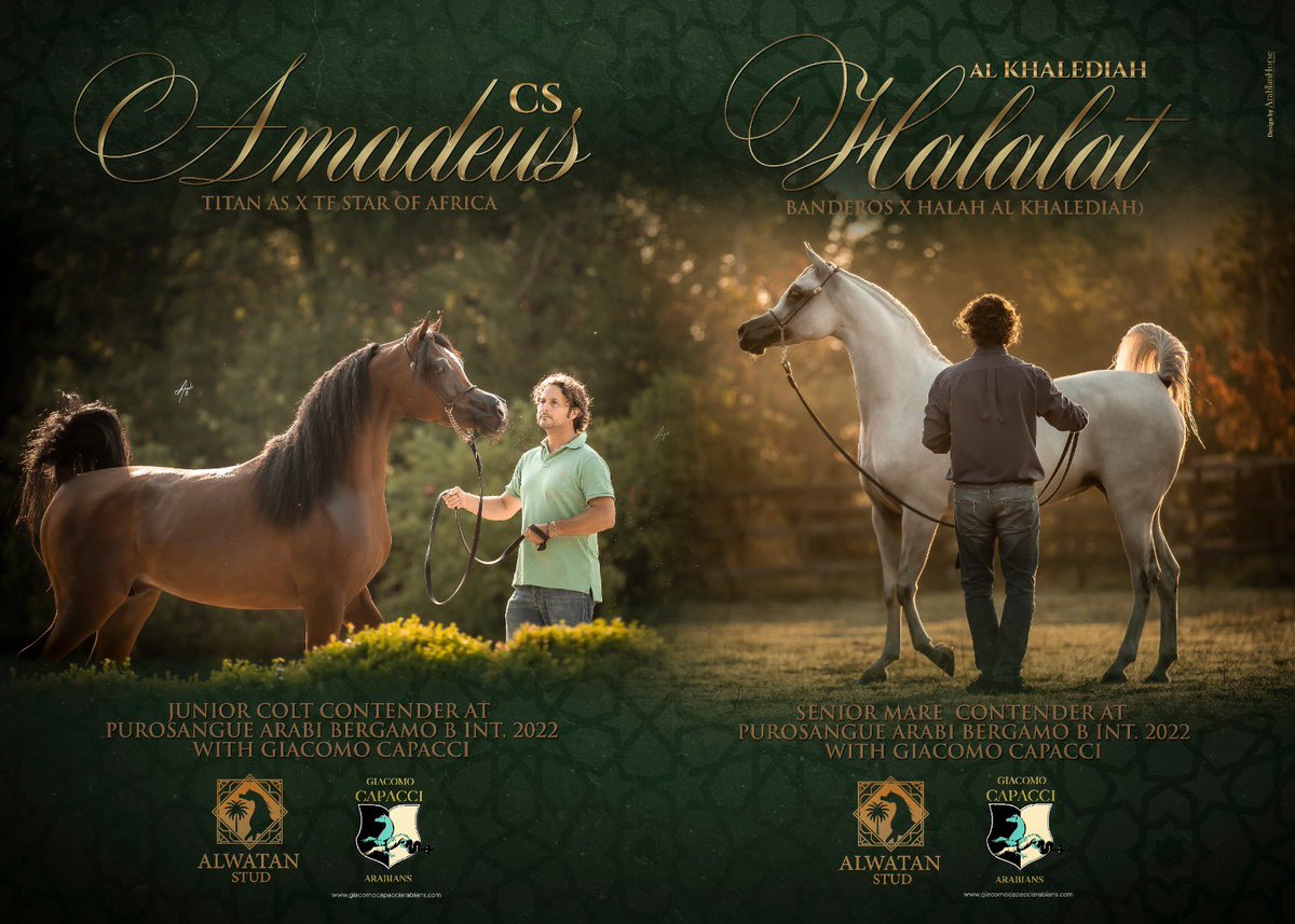 مربط الوطن منافساً غداً 
بالمميزه هلالة الخالديه  
والبطل البرونزي سي ام امادوس 
في بطولة بيرغامو - ايطاليا