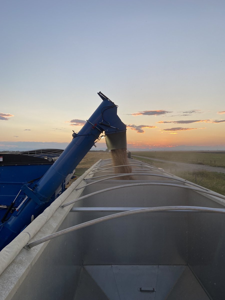 glove_save's tweet image. Positive results with #megafol on HRS Wheat yesterday. #envita #fieldperformance trial today