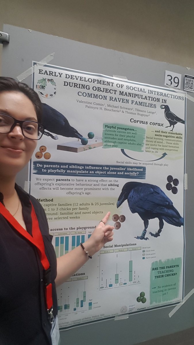 Valentine Comin tweet media