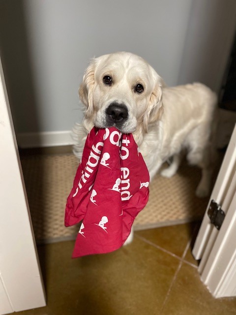 Our canine friends are as excited as we are to participate in the St. Jude Walk/Run in September, to support the mission of St. Jude Children’s Research Hospital®: Finding cures. Saving children®. 

To register for your local event, please visit stjude.org/walkrun