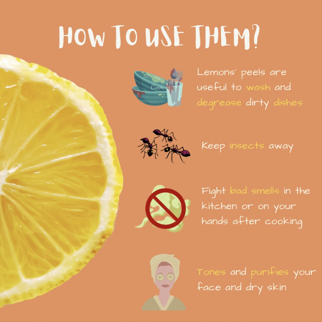 FoodCircleAms's tweet photo. Don’t throw your lemons’ peels!🍋❌

Did you know that they have a lot of alternative uses?♻️

💬Let’s discuss in the comments!💬

#foodwaste #foodwastewarriors #lifestyle #sustainable #sustainability #reuse https://t.co/yZkA3FUCAm