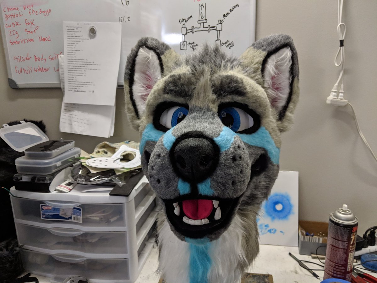 thehouseofcurl's tweet photo. Heck guys it's been a hot minute but look at all these new critters https://t.co/rBzMQMt4TR