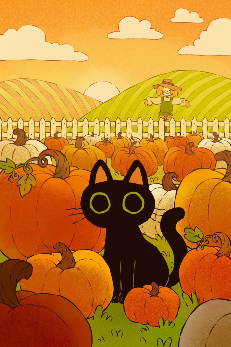 Fall kitty 🎃✨