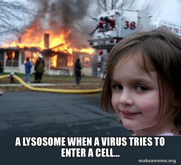 lysosomecmpgn22's tweet photo. We’ll always be here to protect you! #cleanupthecell #MHSOrganelleVote2022 #votelysosome https://t.co/tnKSwLCcaq