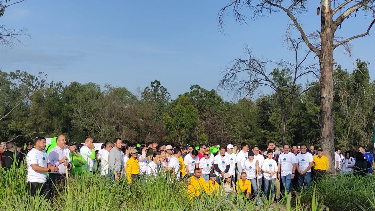TVAztecaJalisco's tweet photo. 🔴#FOTOGALERIA Ya son 20 años del Nuevo Bosque y como en cada ocasión, se cumplió la meta de sembrar más de 4,000 árboles en Jalisco. Una iniciativa de @gruposalinas con ayuda de @CONAFOR en beneficio de nuestro planeta. https://t.co/Gq3YbP49HA